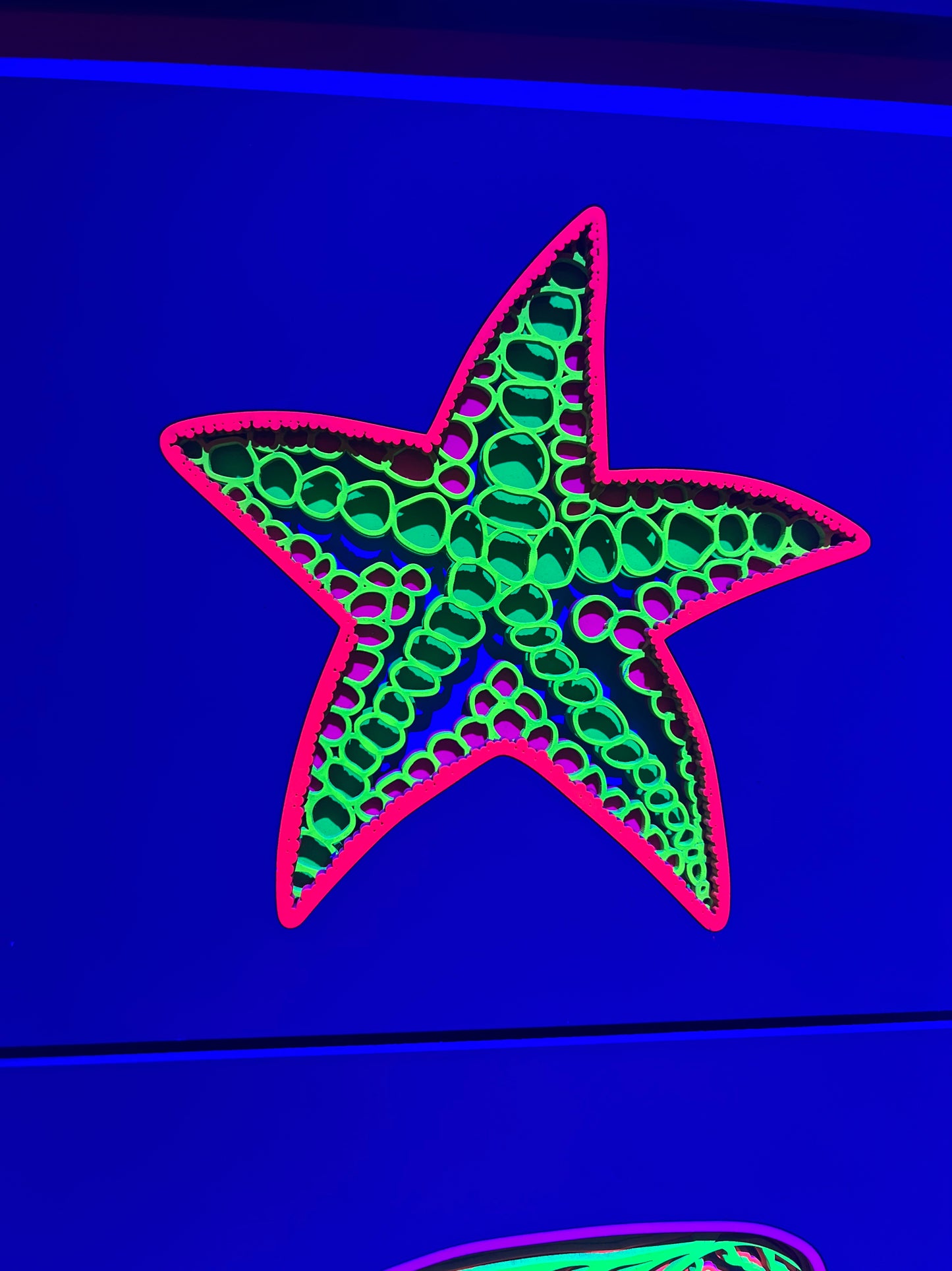 Starfish 2