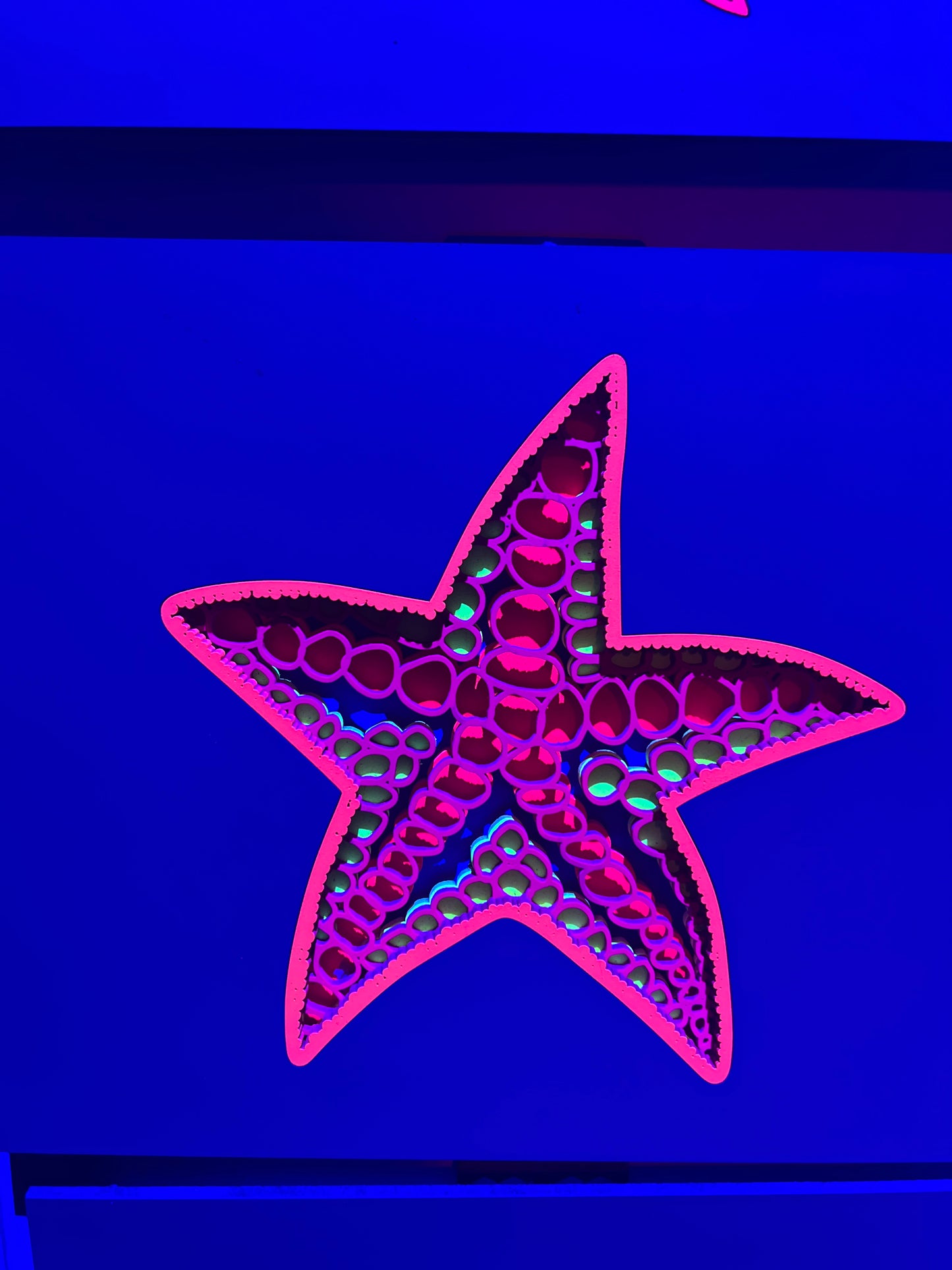 Starfish 1
