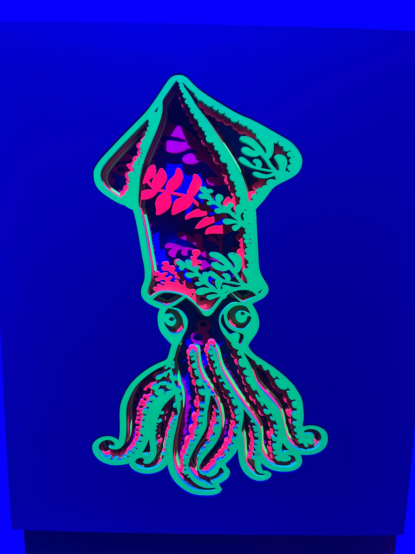 Squid