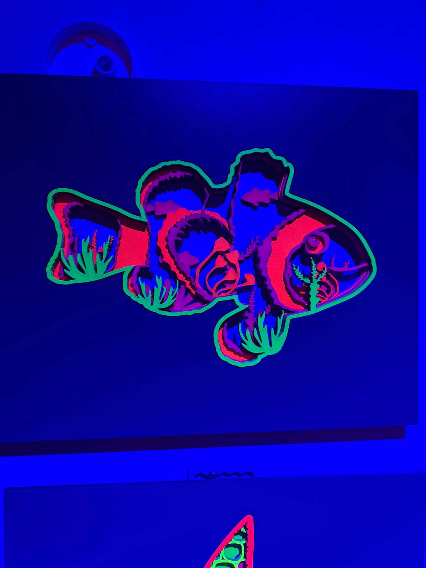 Clownfish 2