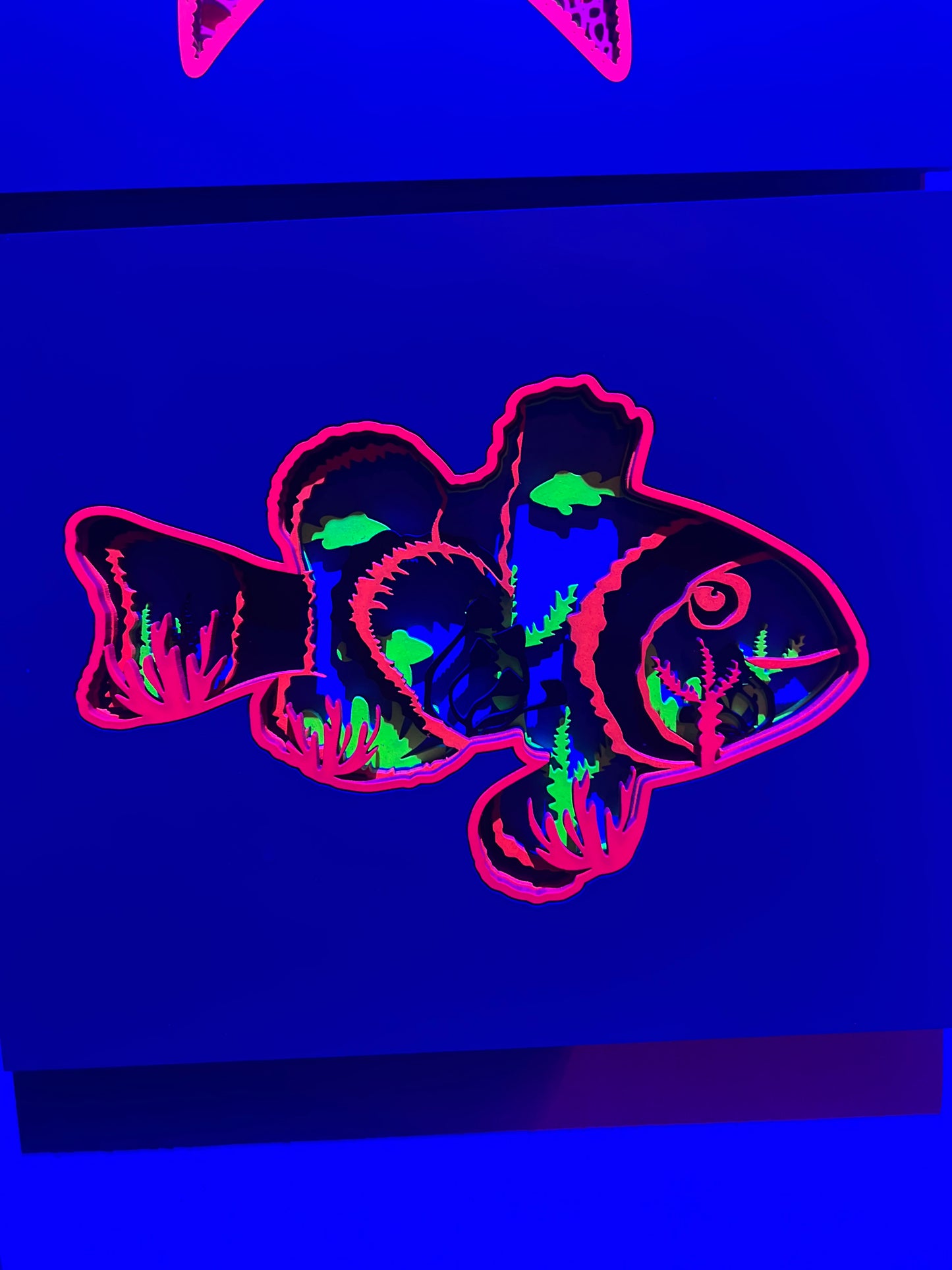 Clown fish 1