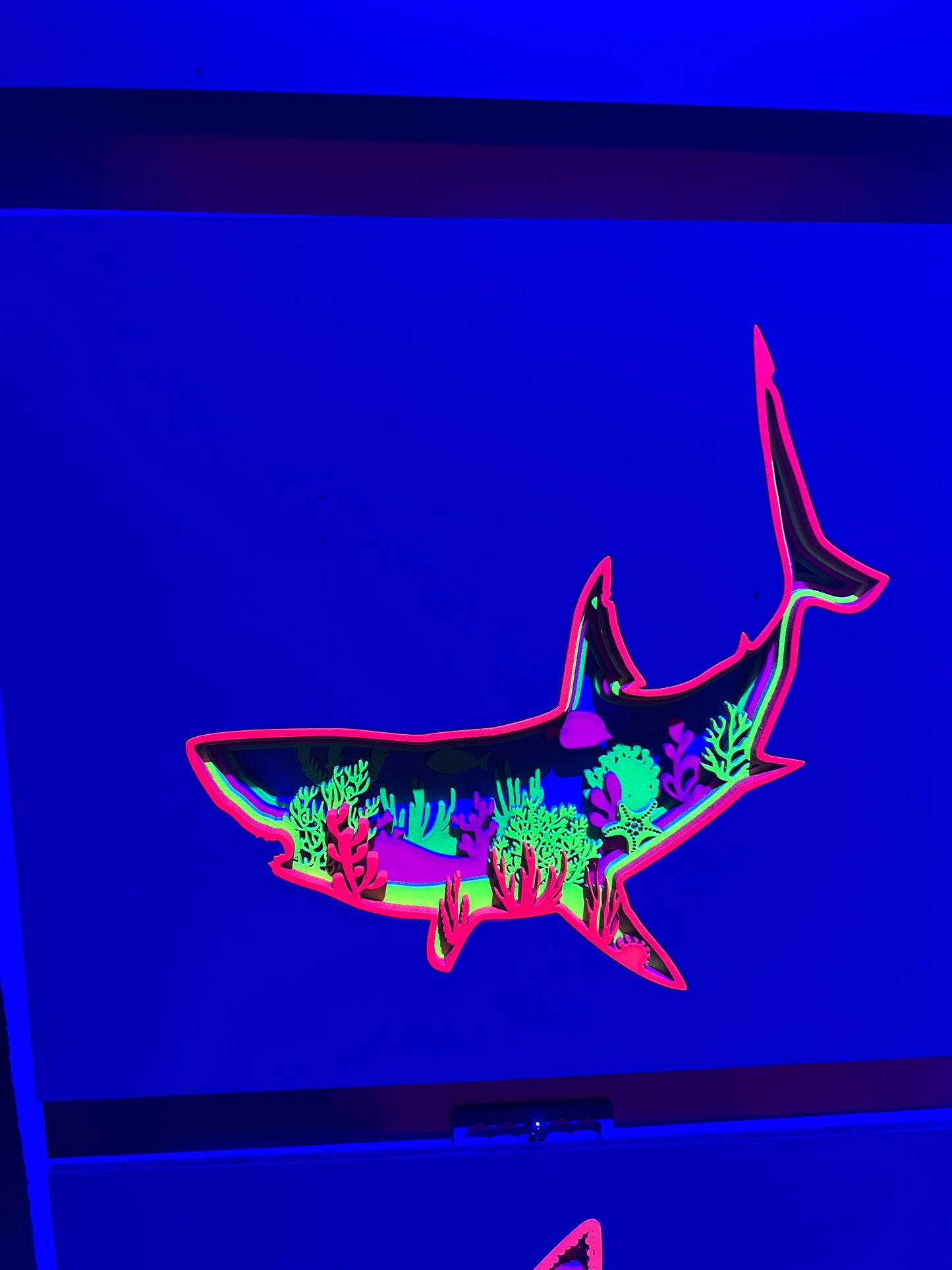 Shark