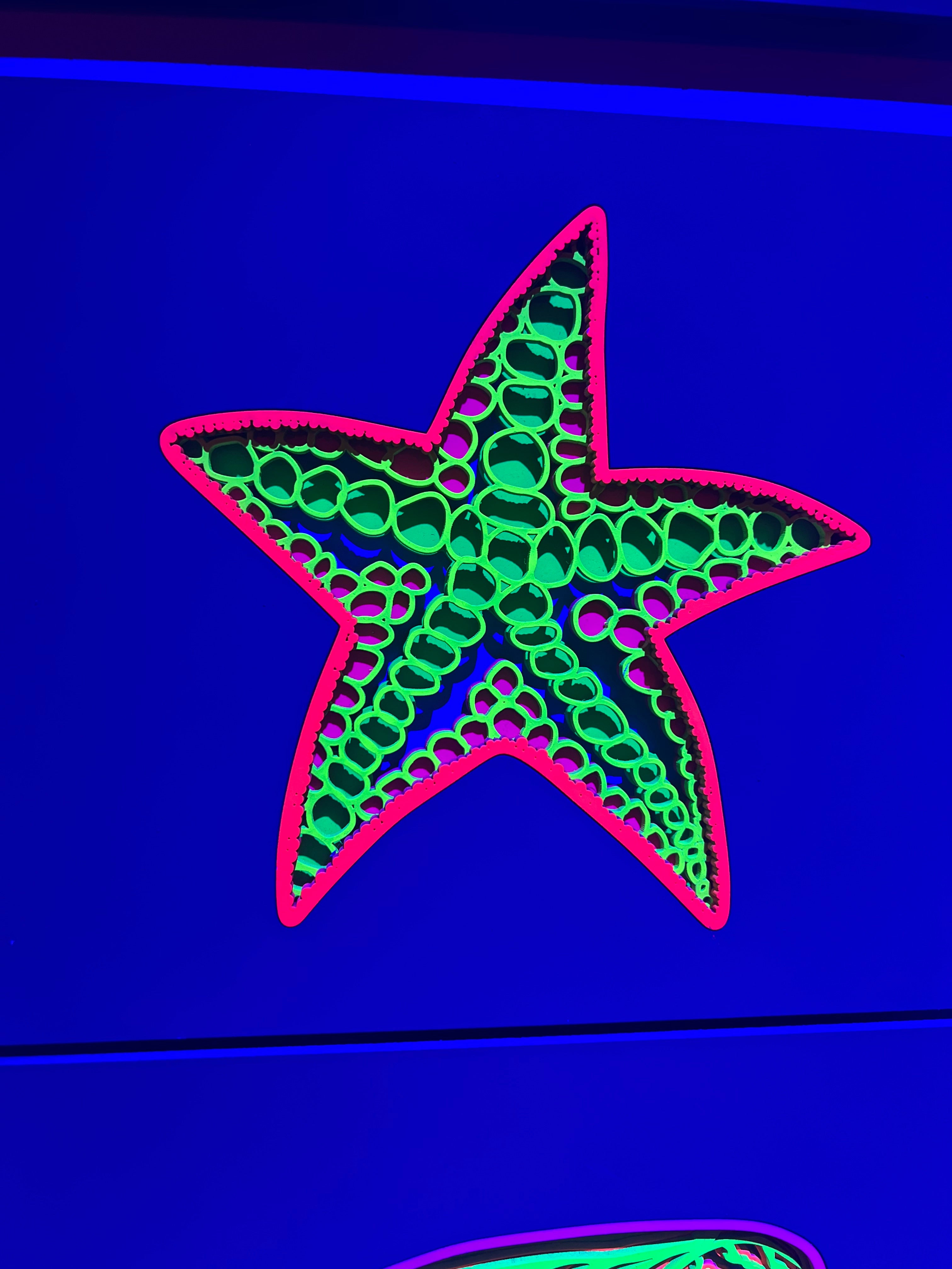 Starfish 2
