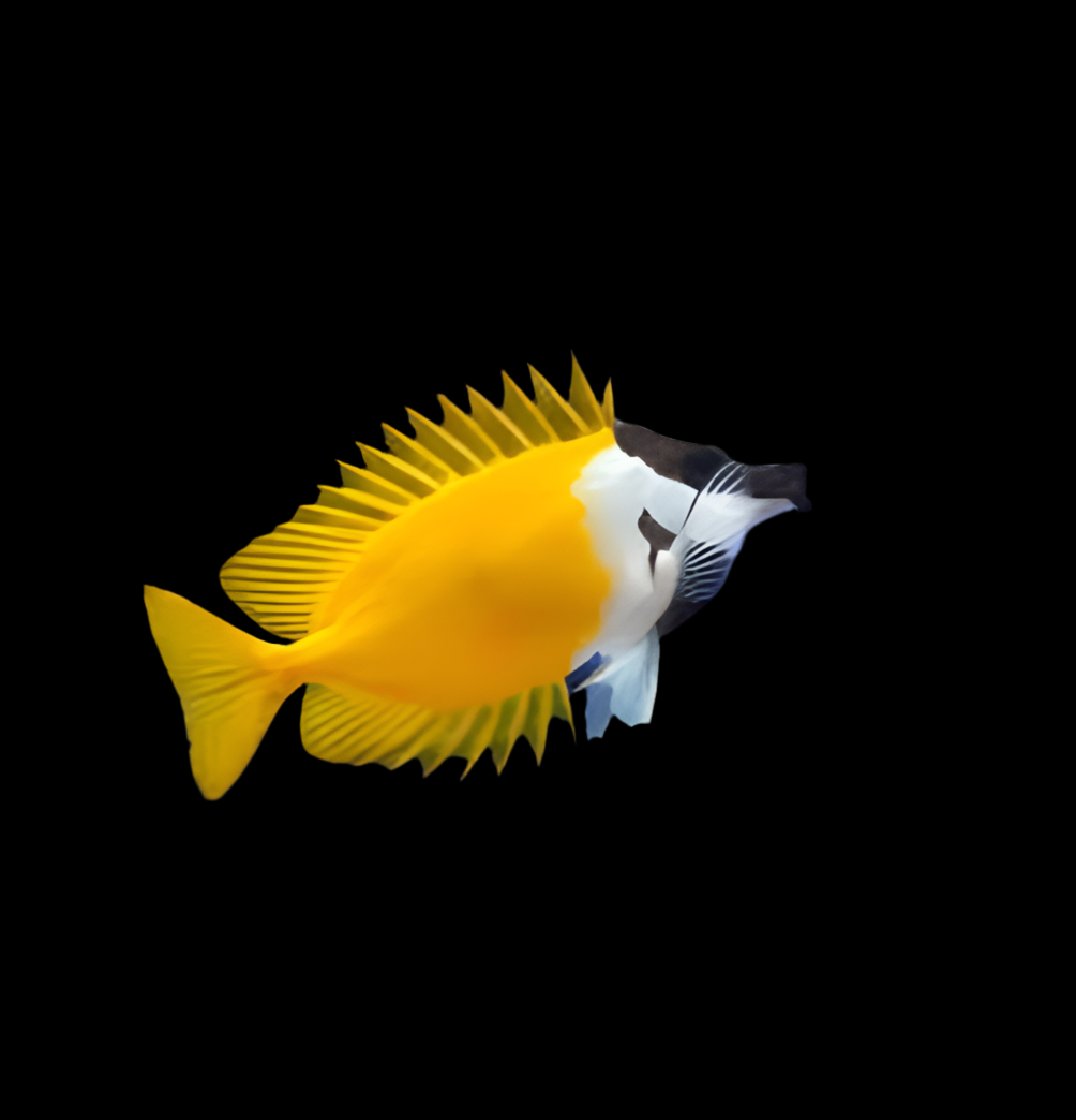 Foxface - Yellow