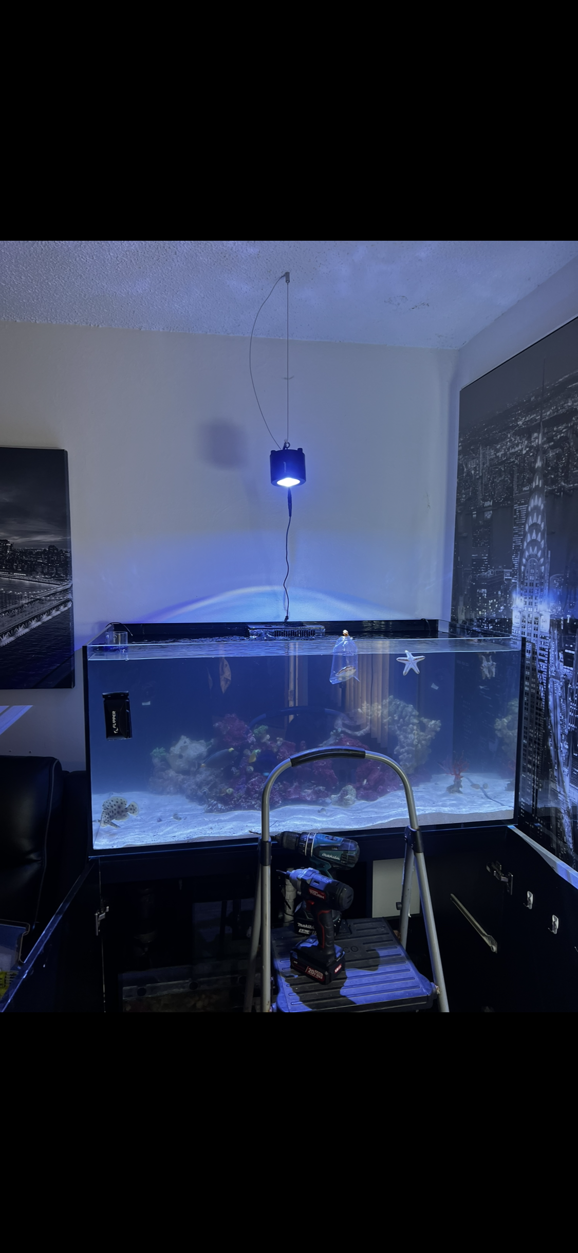 Aquarium maintenance In  Los Angeles