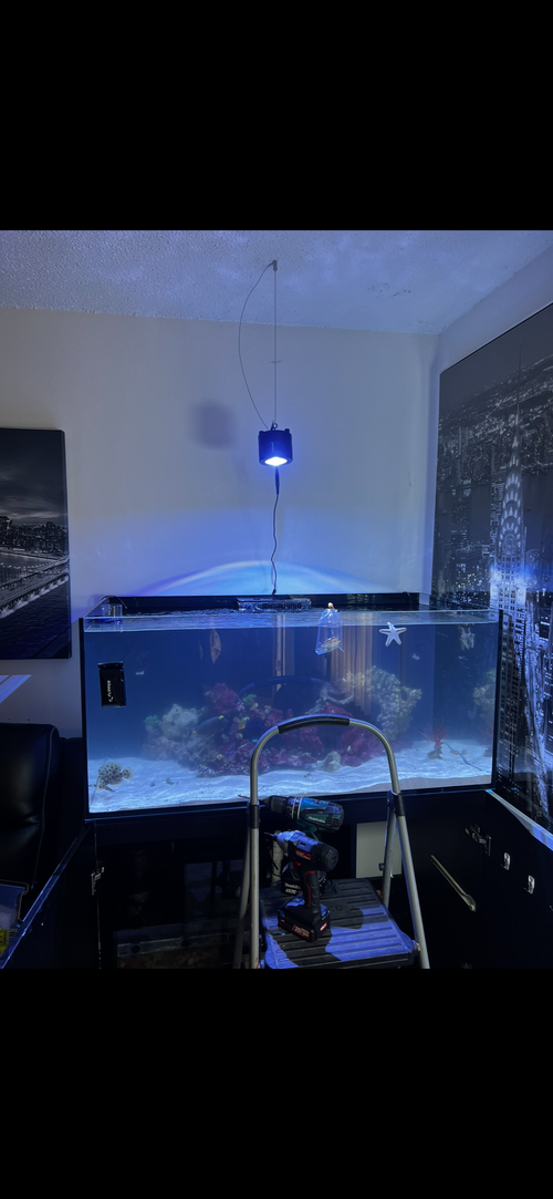Aquarium maintenance In  Los Angeles