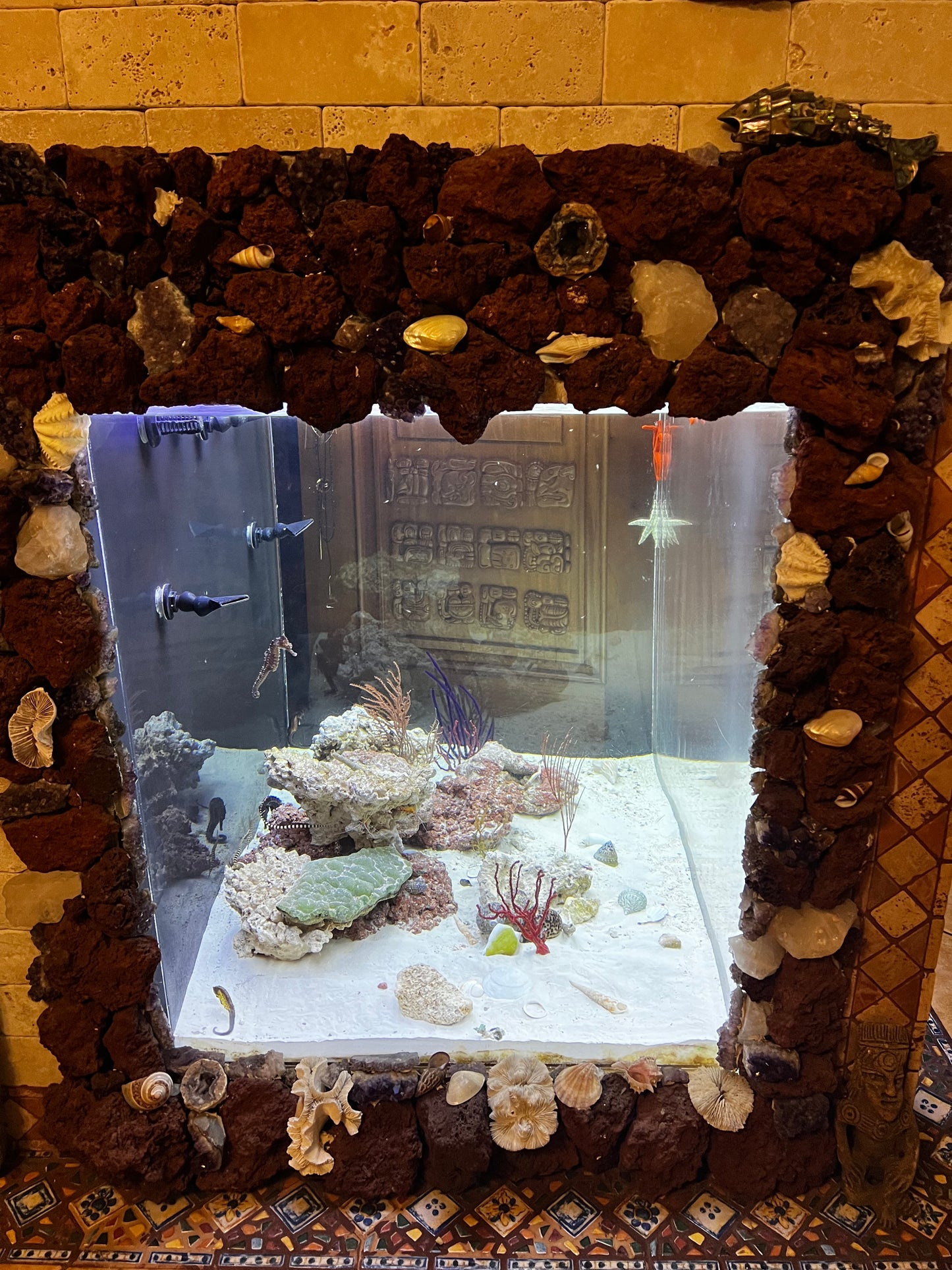 Aquarium & pond maintenance in Los Angeles California.