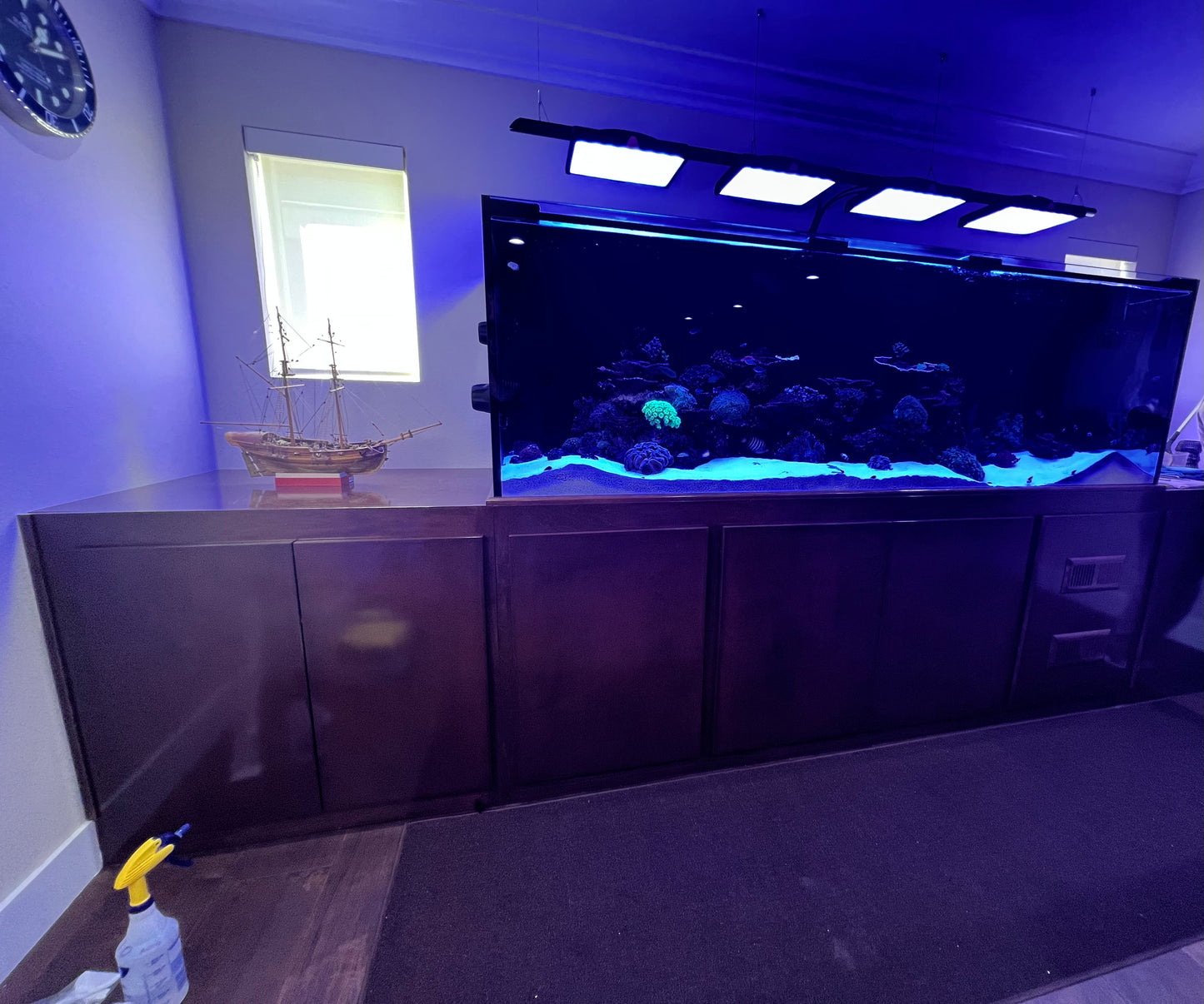 Aquarium & pond maintenance in Los Angeles California.