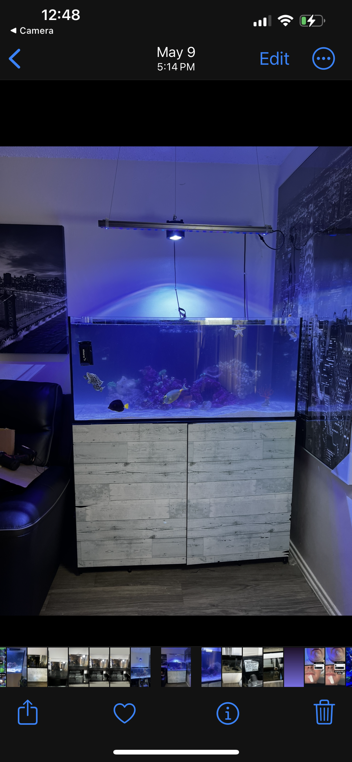 Aquarium maintenance In  Los Angeles