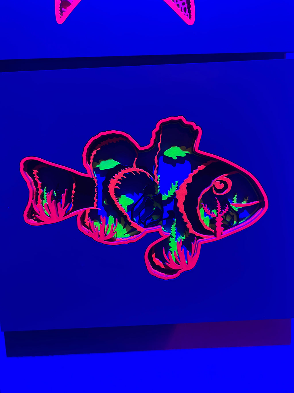 Clown fish 1