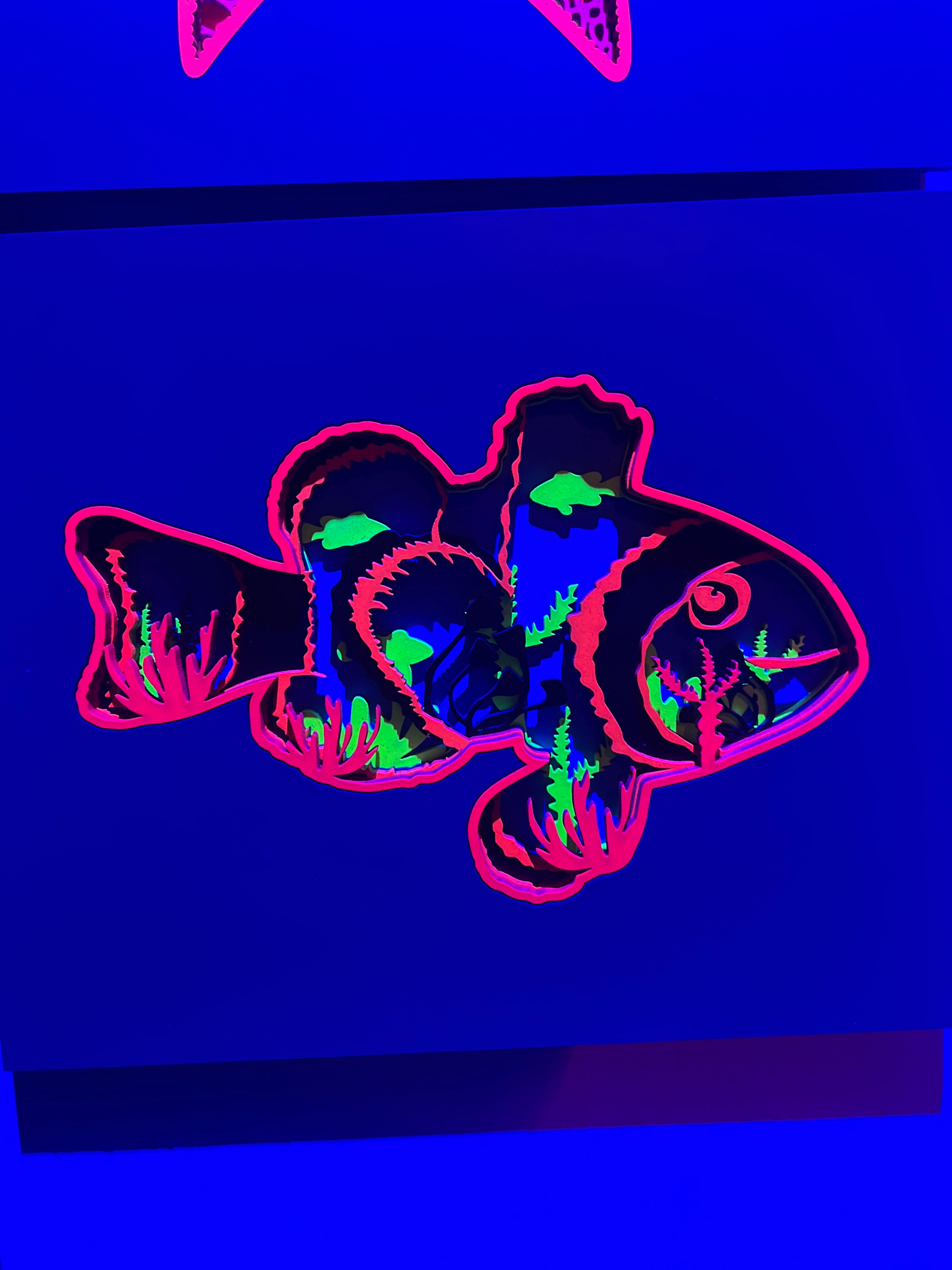 Clown fish 1