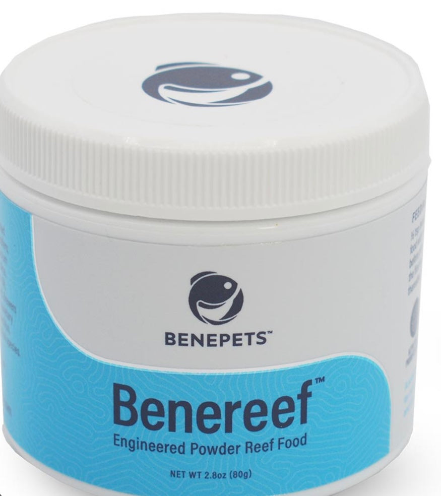 Benereef coral food
