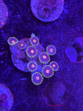 Blow Pop Zoa